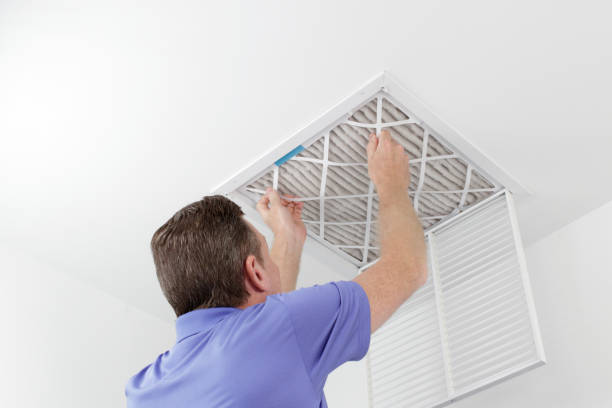 Best Dryer Vent Cleaning Services  in Piperton, TN